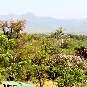 farm land