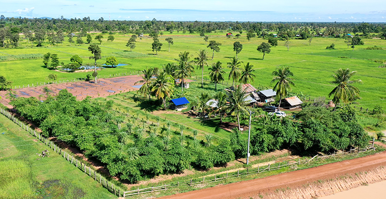 landscape in Cambodia