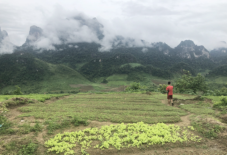 Multifunctional landscape in Vientiane Province, Laos