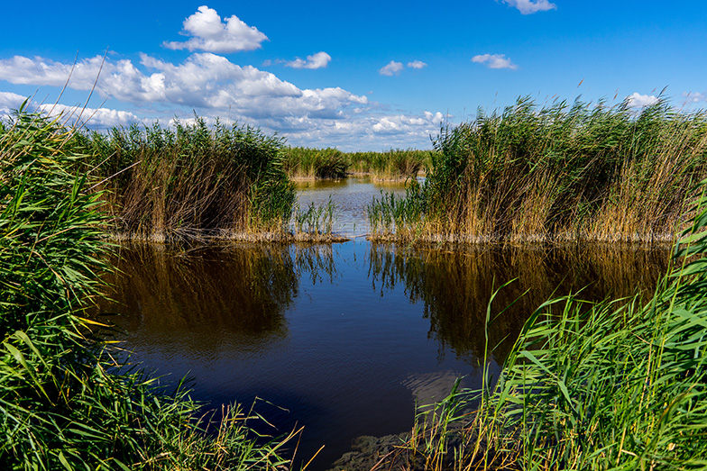 Lake Neusiedl, Naturepark Seewinkel