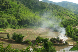 biological diversity farming landscape