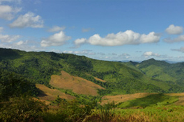 Shifting cultivation