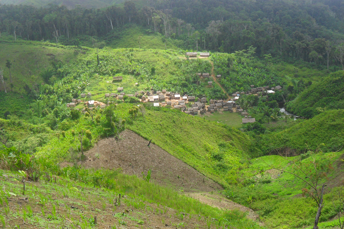 Trade offs, Madagascar, Conservation, Agriculture development