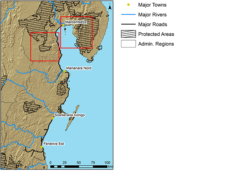 Forest change in Madagascar