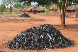 Charcoal Tanzania