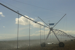 irrigation