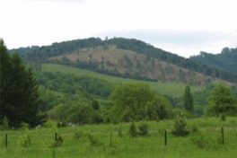 protected areas carpathian