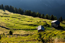 Unesco World Heritage Swiss-Alps Jungfrau Aletsch