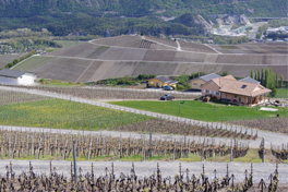 water stress in the alps