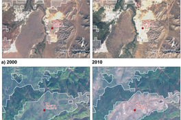 land degradation