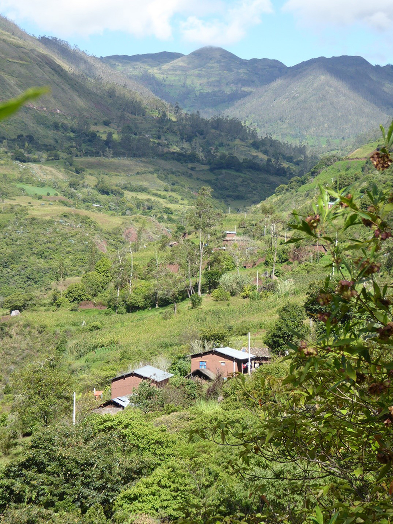 andean landscape