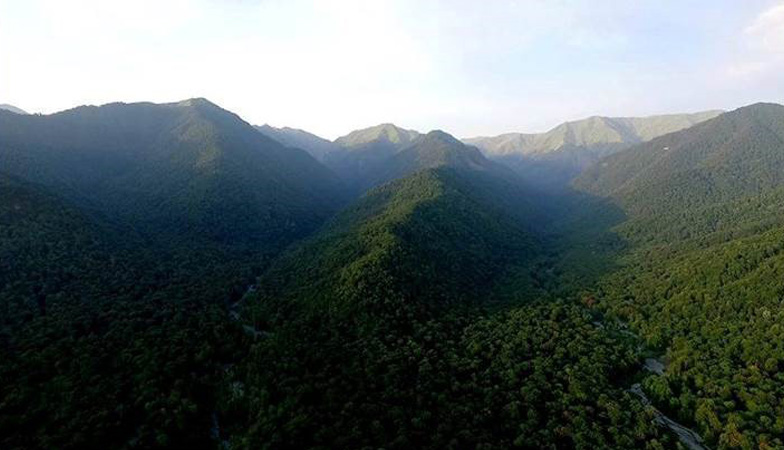 Tbilisi National Park, Georgia