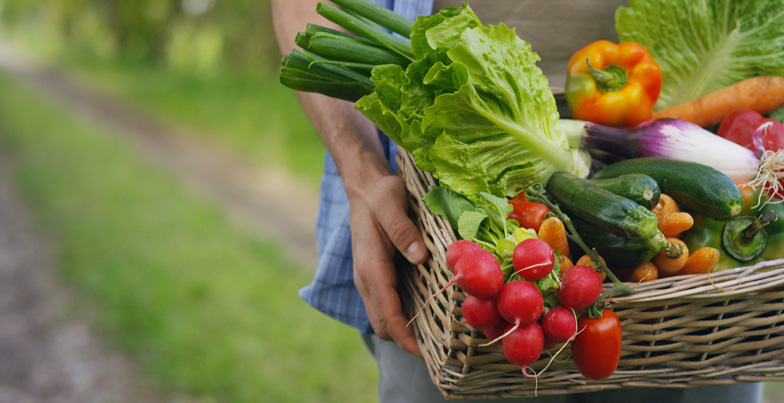 Basket with vegetables