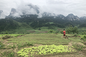 Sustainable land management, Laos
