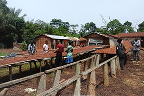 Coffee beans are dried, Ghana