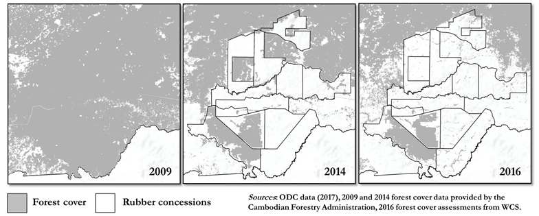 Rubber concession and deforestation graphic