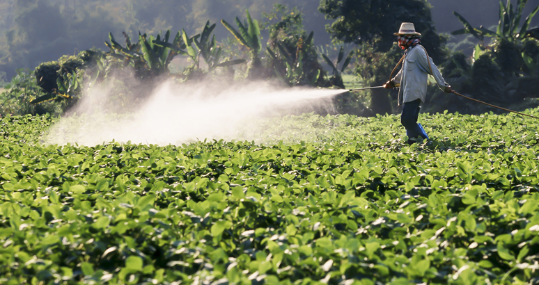 farmer spraying pesticide on soy field