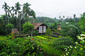 Agroecology in Southeast Asia