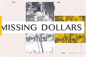 Missing Dollars