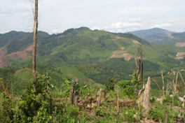 Shifting cultivation Laos II